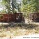 Photo by Cherdwood 