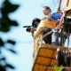 Photo by Napapun
