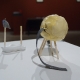 Allison Wade, The Rest of the More, 2011_01