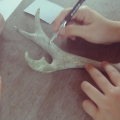 Horn carving Workshops